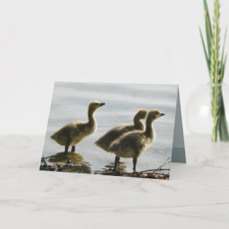 Carte Parement de la lumière