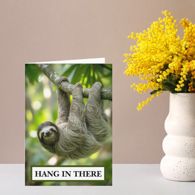 Carte Paresseux Accroche-Toi Encouragement (Hang in there sloth encouragement card)
