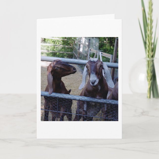 Carte Parler aux filles (Devant)