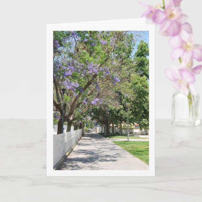 Carte Parque de la Bombilla, Lliria, Valence, Espagne (Orchidée)