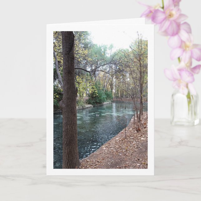 Carte Parque Municipal San Vicente, Lliria, Valence (Orchidée)