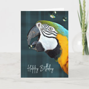 Carte Parrot de Macaw avec bulles Anniversaire