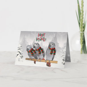 Carte Parrot gris africain Noël du bébé