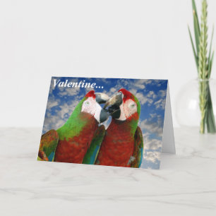 Carte Parrot Valentine 003