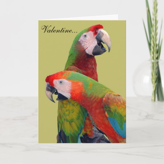 Carte Parrot Valentine 007 (Devant)