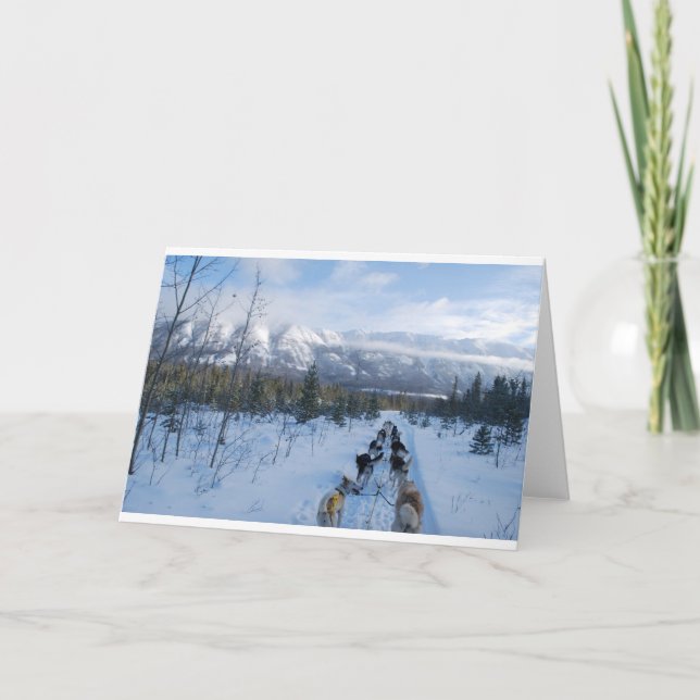 Carte ParrotSleds (Devant)