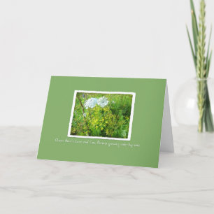 Carte Parsnip de dentelle et vache Queen Anne sur 