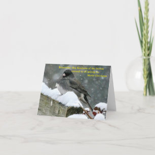 Carte Partagez les Joys de la saison