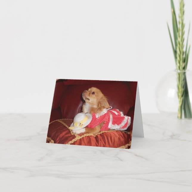 Carte partie chi (Devant)