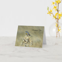 Paruline rayée jaune - Pensez à vous