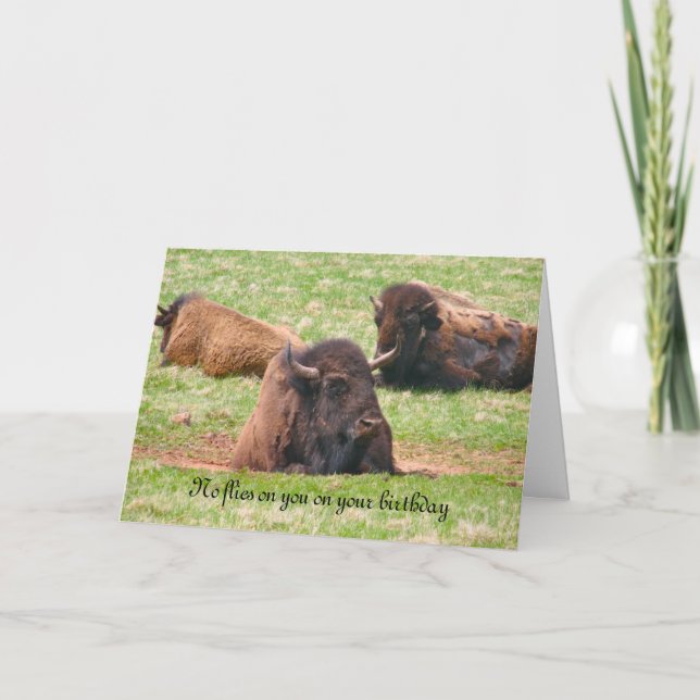 Carte Pas de mouches sur vous pour votre anniversaire -  (Devant)