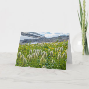 Carte Pasqueflower occidental Monts East Kootenay