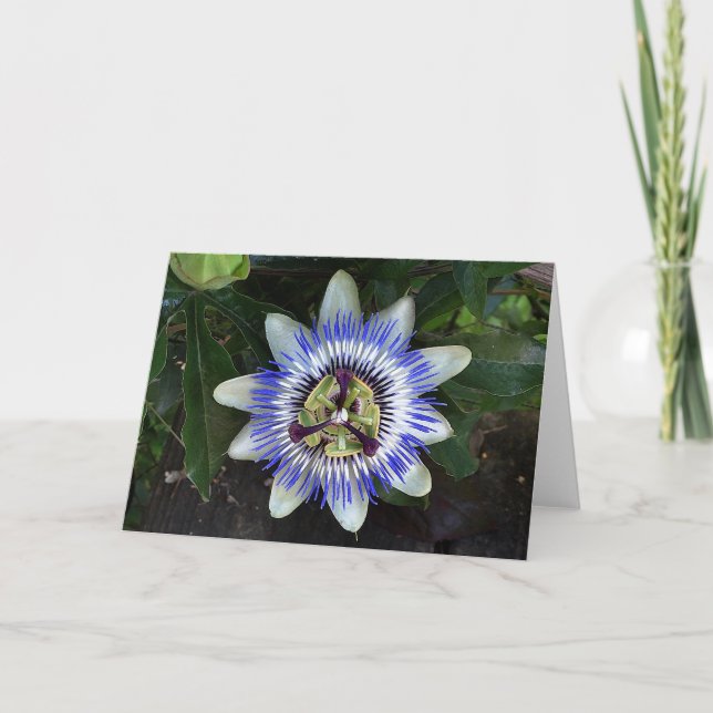 Carte Passion Flower #2 (Devant)