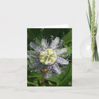 Carte Passionflower