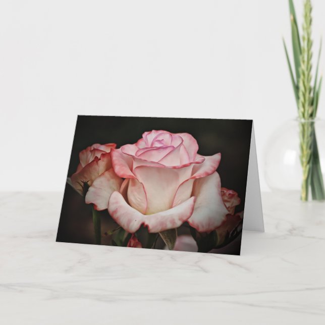 Carte Pastel Rose Rose Rose (Devant)