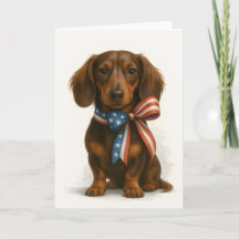 Patriotique Dachshund