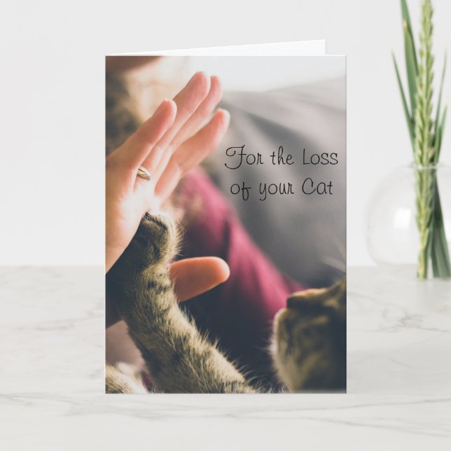 Carte Patte de chat faisant un high-five (Devant)