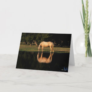 Carte Pâturage Palomino Par Lac Avec Réflexion