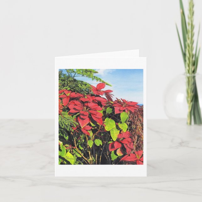 Carte Paul McGehee "Poinsettias" (Devant)