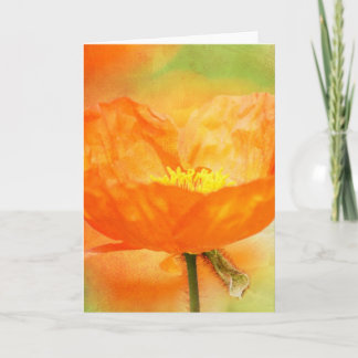 Carte Pavot orange