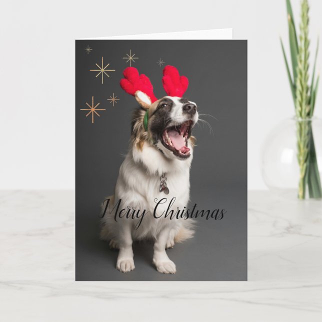 Carte "Paws & Joy" : Charmante carte de Noël "Joye (Devant)