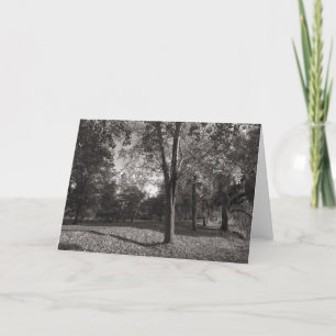 Carte Paysage d'automne, Bute Park, Cardiff