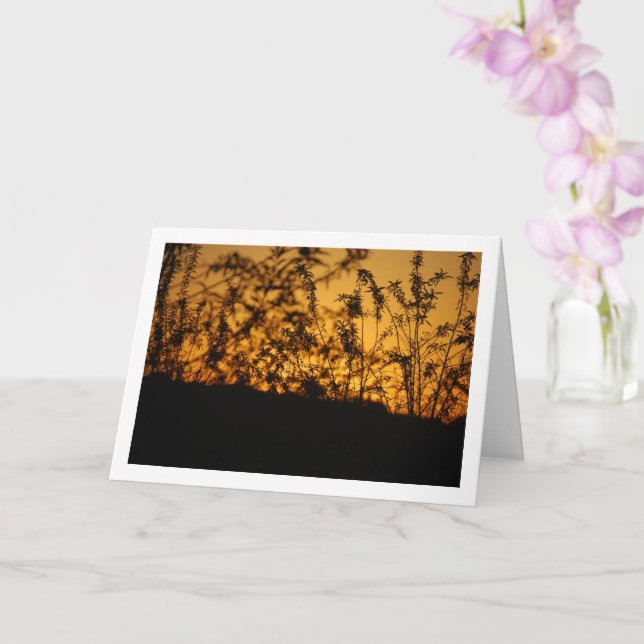 Carte Paysage de la Silhouette du coucher de soleil du p (Orchidée)