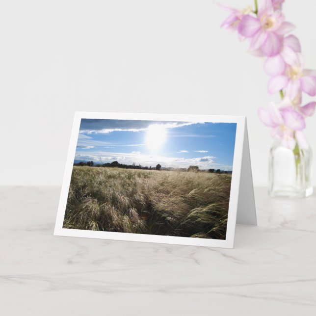 Carte Paysage de lever de soleil dans l'herbe à la campa (Orchidée)