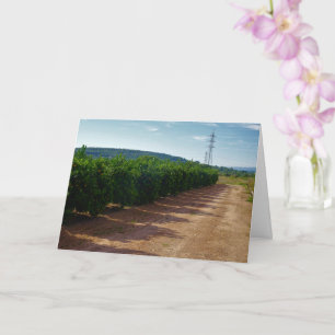 Carte Paysage de Valencia Orange Grove