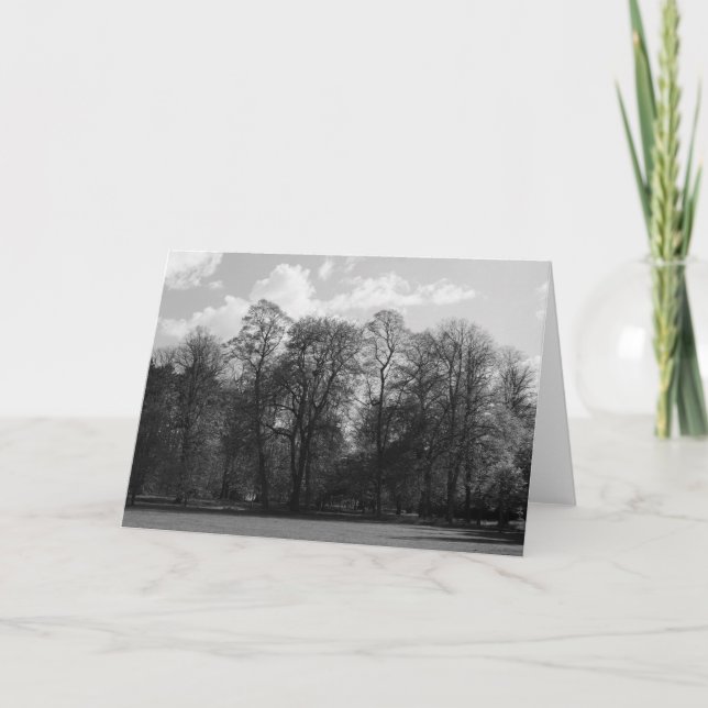 Carte Paysage du parc, Bute Park, Cardiff, Pays de Galle (Devant)