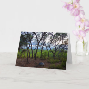 Carte Paysage forestier espagnol
