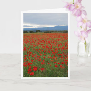 Carte Paysage Poppy Field