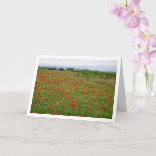 Carte Paysage Poppy Field (Orchidée)