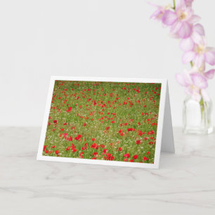 Carte Paysage Poppy Field