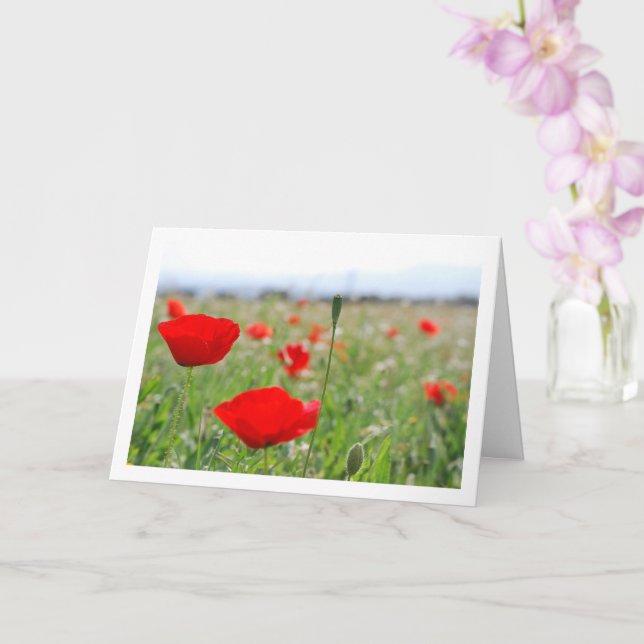Carte Paysage Poppy Field (Orchidée)