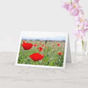 Carte Paysage Poppy Field