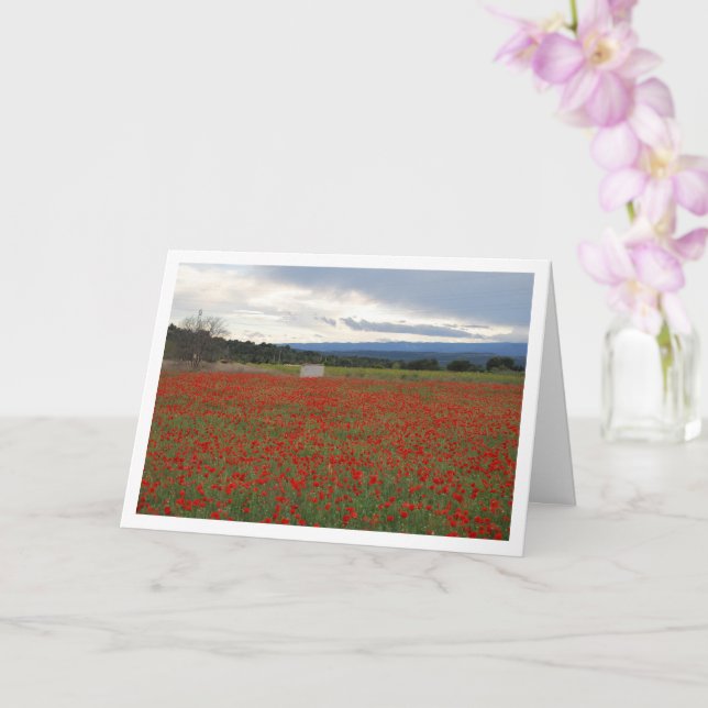 Carte Paysage Poppy Field Mountain (Orchidée)