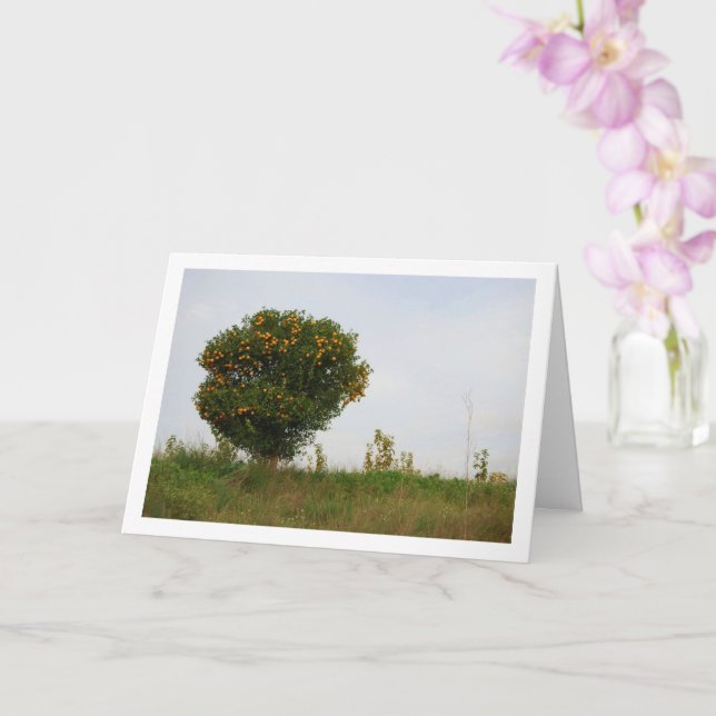 Carte Paysage valencien de Mandarin (Orchidée)