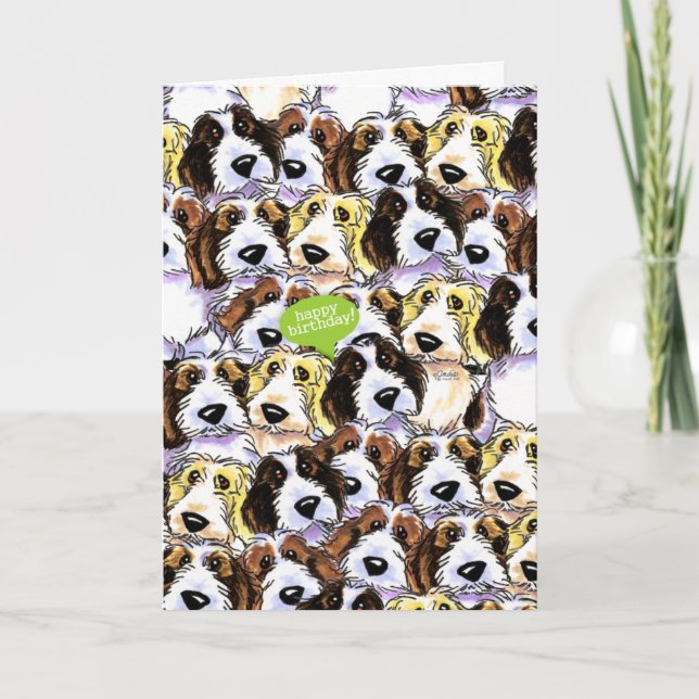 Carte PBGV Chiens drôle Anniversaire (Devant)
