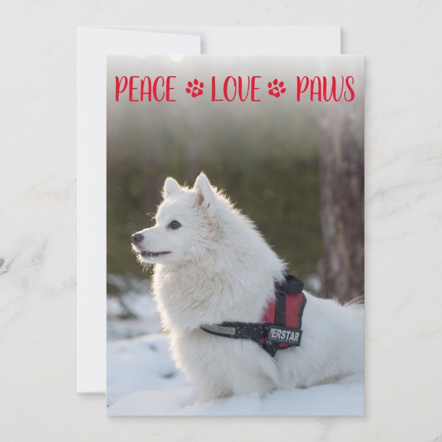 Carte Peace Love Paws Photo Red Christmas Flat Card (Devant)