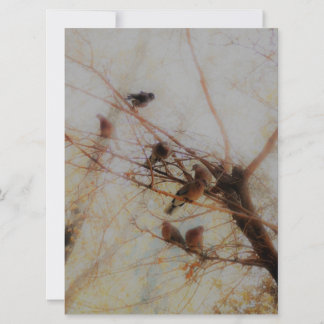 Carte Peaceful Birds Flat Card
