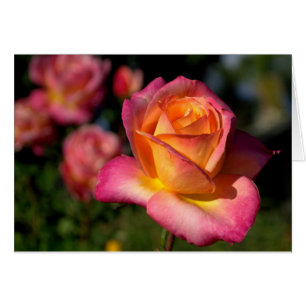 Carte Peachy Rose Blank Note