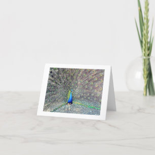 Carte Peacock