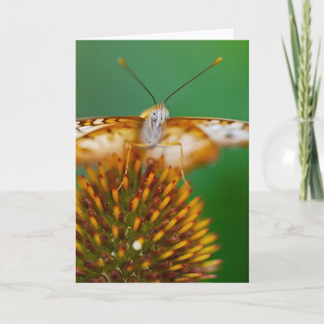 Carte Peacock blanc (Devant)