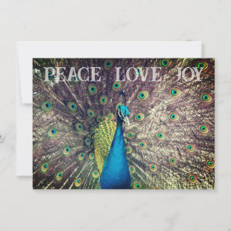 Carte Peacock Christmas Card