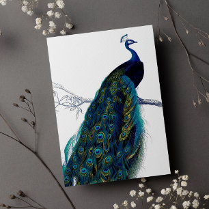 Carte Peacock couleur bleu vintage