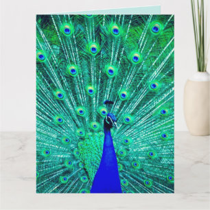 CARTE PEACOCK FUNNY BANTHDAY GREETING CARD