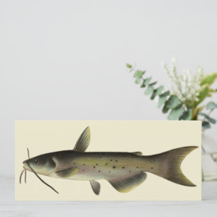 Carte Pêche au poisson-chat, vie marine vintage rivière 