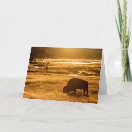 Carte Pêche d'automne