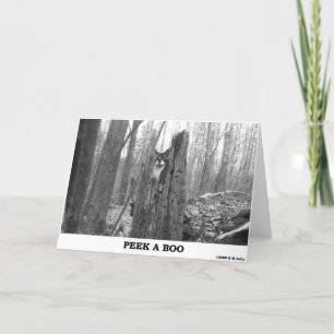 CARTE PEEK A BOO